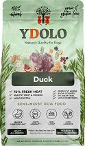 Ydolo