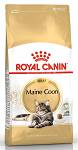 Royal Canin Adult Maine Coon Sucha Karma dla kota op. 10kg