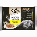 Sheba Delicacy in Jelly Adult Kolekcja smaków drobiowych w galaretce Mokra Karma dla kota op. 4x85g