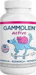 Gammolen Active Preparat wzmacniający dla psa i kota op. 90 kapsułek