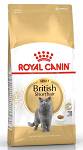 Royal Canin Adult British Shorthair Sucha Karma dla kota op. 10kg