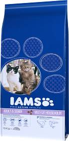 Iams Adult&Senior Multicat Sucha Karma dla kota op. 15kg