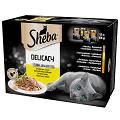 Sheba Delicacy in Jelly Adult Kolekcja smaków drobiowych w galaretce Mokra karma dla kota op. 12x85g (PAKIET ŻÓŁTY)