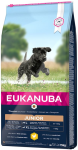 Eukanuba Junior Large Sucha Karma dla szczeniaka op. 15kg