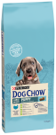 Purina Dog Chow Puppy Large Sucha Karma dla szczeniaka op. 14kg
