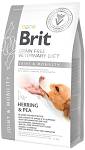 Brit Veterinary Diet Joint&Mobility Herring&Pea Sucha Karma dla psa op. 2kg