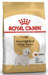 Royal Canin Adult West Highland White Terrier Sucha Karma dla psa op. 3kg + Francodex Szampon do białej sierści op. 20ml GRATIS