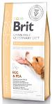 Brit Veterinary Diet Hepatic Egg&Pea Sucha Karma dla psa op. 12kg