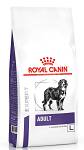 Royal Canin Expert Adult Large Sucha Karma dla psa op. 2x13kg MEGA-PAK