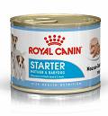 Royal Canin Starter Mousse Mother&Babydog Mokra Karma dla szczeniaka op. 195g