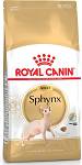 Royal Canin Adult Sphynx Sucha Karma dla kota op. 10kg