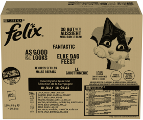 Felix Fantastic Adult Countryside Selection w galaretce Mokra Karma dla kota op. 120x85g