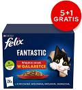 Felix Fantastic Adult Wiejskie smaki w galaretce Mokra Karma dla kota op. 6x(24x85g) Pakiet