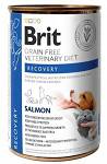 Brit Veterinary Diet Recovery Salmon Mokra Karma dla psa i kota op. 400g [Data ważności: 13.02.2022]