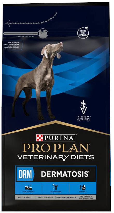 Dermatosis purina 2024