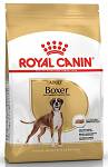 Royal Canin Adult Boxer Sucha Karma dla psa op. 12kg