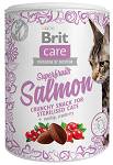 Brit Care Przysmak Superfruits Salmon dla kota op. 100g