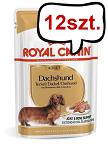 Royal Canin Adult Dachshund Mokra Karma dla psa op. 85g Pakiet 12szt.