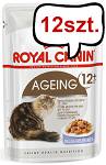Royal Canin Ageing 12+ w galaretce Mokra Karma dla kota op. 85g Pakiet 12szt.