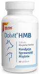 Dolvit Preparat wspomagający mięśnie HMB dla psa i kota op. 90 tabletek