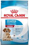 Royal Canin Medium Starter Sucha Karma dla szczeniaka op. 15kg