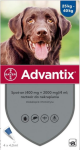 Bayer Advantix Krople na kleszcze i pchły dla psa 25-40kg op. 4ml (4 pipety)