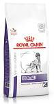 Royal Canin Vet Dental Medium&Large Sucha Karma dla psa op. 2x13kg MEGA-PAK