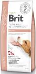 Brit Veterinary Diet Renal Egg&Pea Sucha Karma dla psa op. 12kg