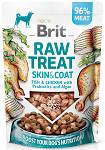 Brit Przysmak Raw Treat Skin&Coat Fish&Chicken dla psa op. 40g