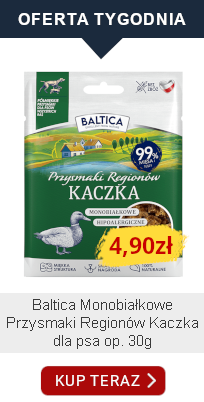 oferta tygodnia 