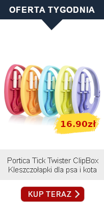 oferta tygodnia 