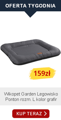 oferta tygodnia 