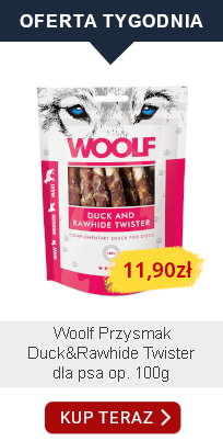 oferta tygodnia 