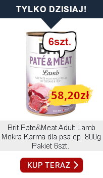 tylko dzisiaj 