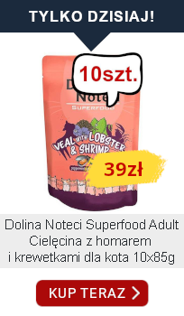 tylko dzisiaj 