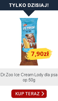 tylko dzisiaj 