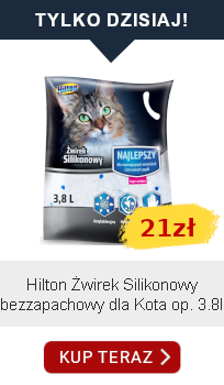 promocja dnia