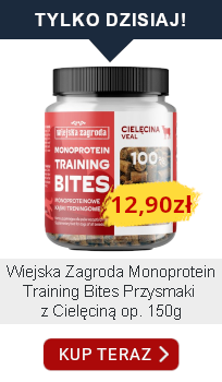 tylko dzisiaj 